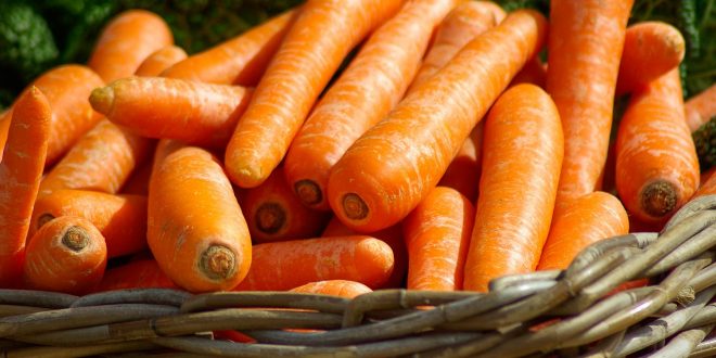 régime carotte