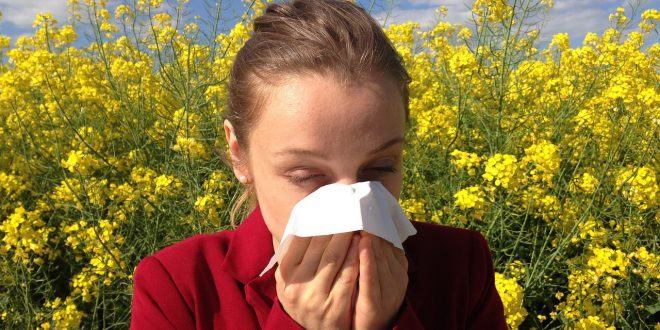 allergies saisonnières