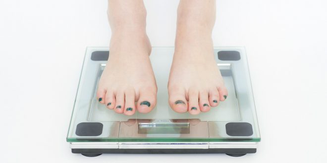 maintien de la perte de poids
