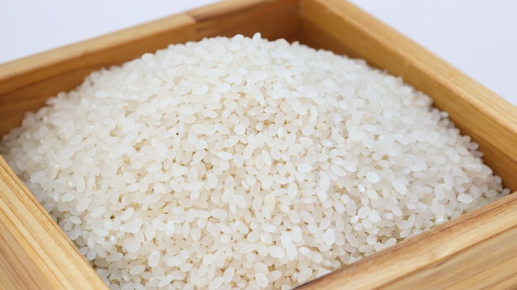 riz blanc alternatives faibles en glucides