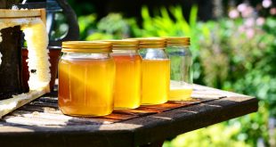 vertus du miel pour la santé