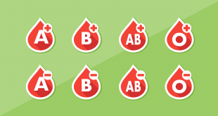 compatibilité des différents groupes sanguins