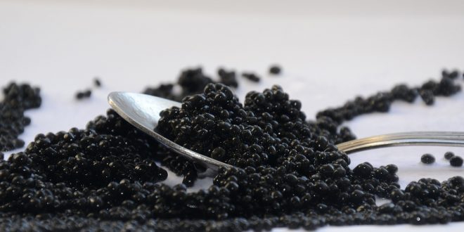 qualités nutritionnelles du caviar