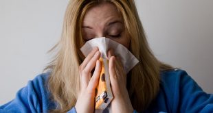 allergies les plus fréquentes chez l’adulte