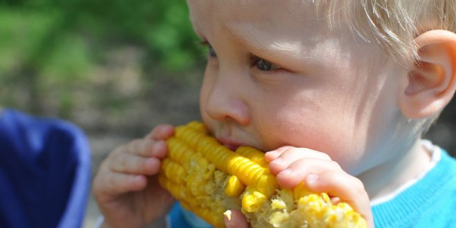 raisons de manger du maïs